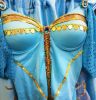 Adult Female Costumes to Hire - Jasmine Arabian BLUE  - Sequin - ADULT